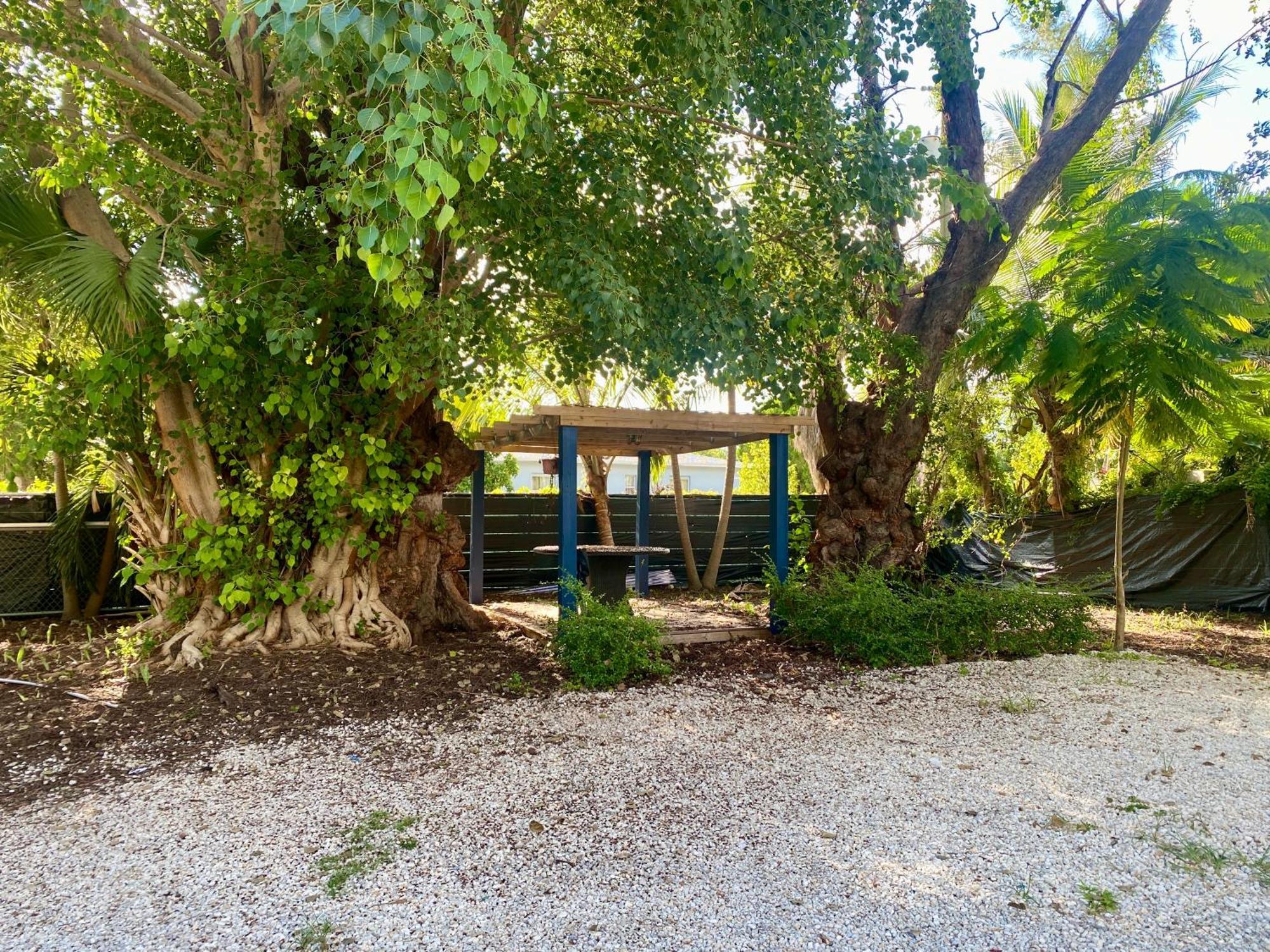 Private Rooms At Miami Centrally Located With Free Parking Eksteriør billede